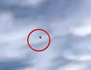 بالفيديو: طائر ينتقم من صياده بشكل غير متوقع