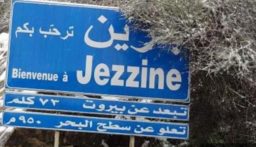 إنجاز هذه الانتخابات يسجل للعهد