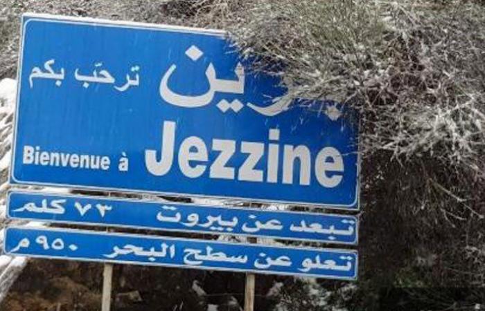 مجهولون أقدموا على نزع تمثال السيدة العذراء في سنيا – جزين