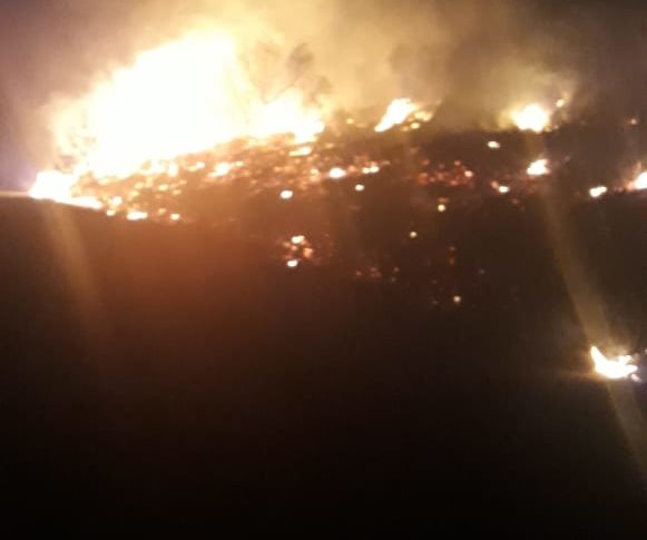 مساع لإهماد حريق في حرج صنوبر وسنديان في خراج بينو – عكار