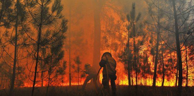 600 رجل إطفاء يكافحون حريقاً خطيراً في كاليفورنيا