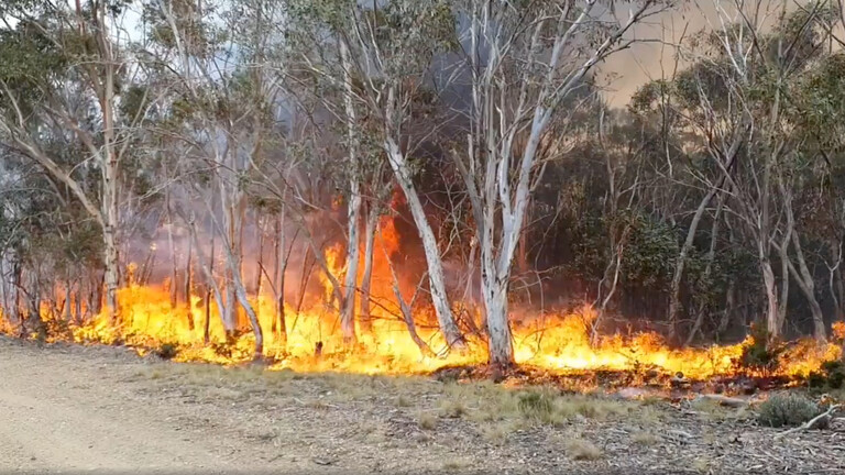 تجدد الحرائق في أستراليا