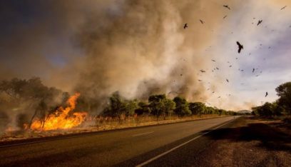 استراليا تعهدت بتخصيص 1,4 مليار دولار لإغاثة المتضررين من الحرائق