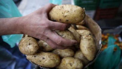استيراد البطاطا المصرية بين غلاء الأسعار والشحّ