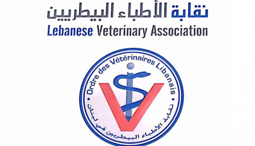 نقابة الأطباء البيطريين: لم تسجل إصابات عالمياً للحيوانات الأليفة بفيروس كورونا