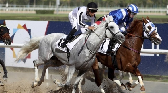 تأجيل كأس دبي العالمية للخيول إلى العام المقبل