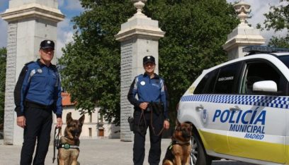 بالفيديو: شرطة إسبانيا تعالج كلابها بجلسات موسيقيّة!