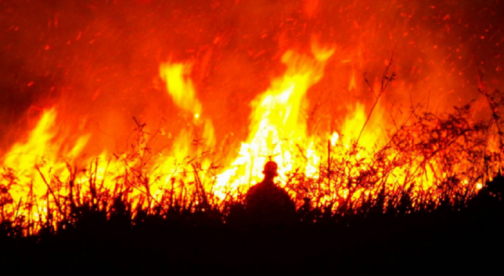 النيران تلتهم مئات الهكتارات في غابات جبال زاغروس في إيران