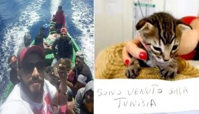 قطة تنجح “بالهجرة” إلى إيطاليا.. والسلطات تضعها في الحجر!