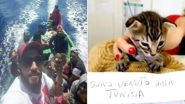 قطة تنجح “بالهجرة” إلى إيطاليا.. والسلطات تضعها في الحجر!