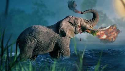 “فاكهة مفخخة”.. حادثة انثى الفيل تهز العالم! (صور)