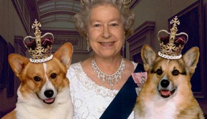 كلاب الملكة إليزابيث لهم قائمة طعام ومقبرة خاصة بالأراضي الملكية