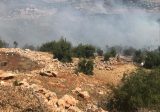 حريق في أحراج بلدة الزرازير في دير الاحمر
