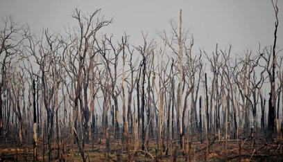 ارتفاع كبير جداً في عدد حرائق غابة الأمازون في البرازيل