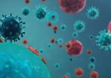 خلية الأزمة في حرار: إصابة جديدة بفيروس كورونا