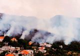إهماد حريق غابة بريا في سقي رشميا بعدما تسبب بخسائر كبيرة