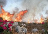 مخاوف من امتداد حريق كبير اندلع بين بلدتي كفرفو وكرم سدة في زغرتا