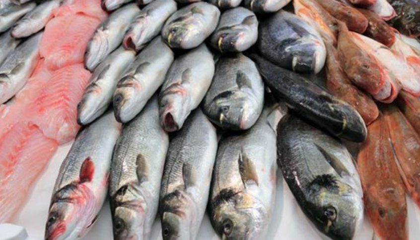 هل ترتفع أسعار السمك بشكل كبير؟