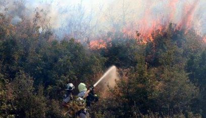 سوريا تعلن السيطرة على الحرائق في الغاب وريف مصياف