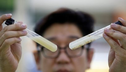 كوريا الجنوبية تخطط لإنتاج علاج لكورونا يستند إلى الأجسام المضادة