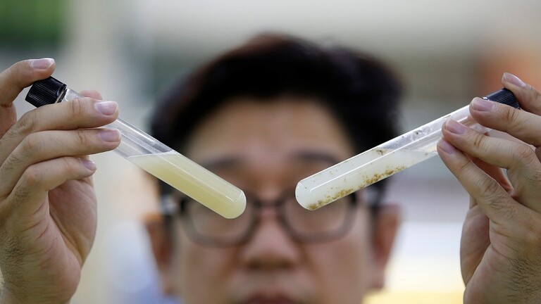 كوريا الجنوبية تخطط لإنتاج علاج لكورونا يستند إلى الأجسام المضادة