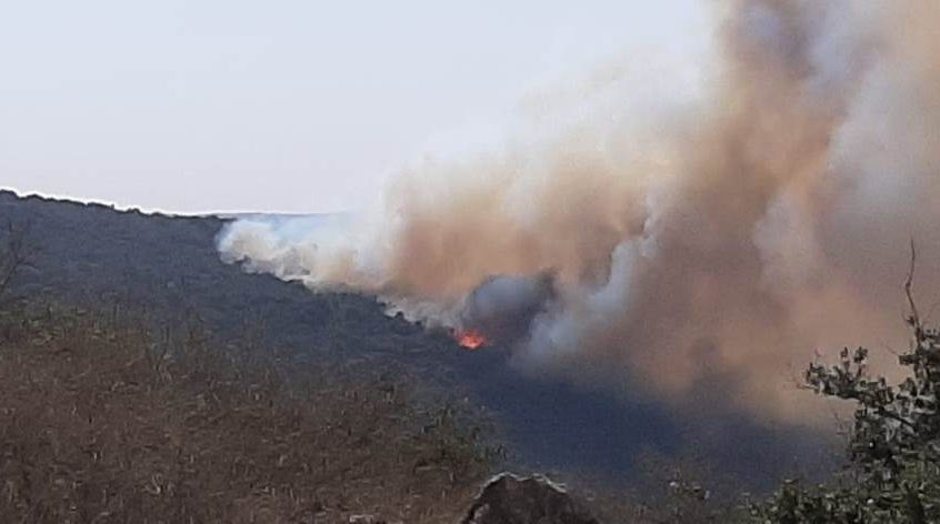 حريق هائل في مزرعة فشكول – حاصبيا
