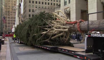 بالفيديو: نيويورك تستقبل شجرة عيد ميلاد “عملاقة”