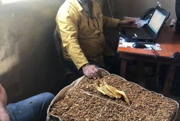 الريجي واصلت تسلم محصول التبغ من المزارعين في صور وبنت جبيل