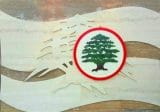 “القوات”: لا يجوز للحكومة ان تفرض على المدارس الخاصة إستخدام الأبنية العائدة لها