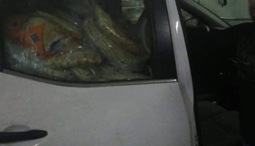 بلدية داريا تسلم المحال 500 ربطة خبز