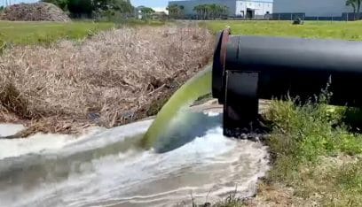 “مياه سامة” تهدد مئات الأميركيين بفلوريدا