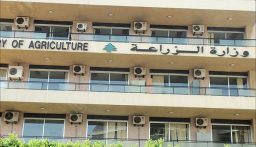 إنجازات ضد شبكات تهريب المنتجات الزراعية لوزارة الزراعة والجمارك