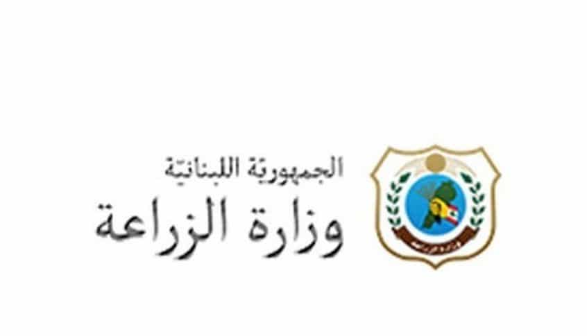 الزراعة ردا على جبور بشأن استيراد البطاطا المصرية الى لبنان: نحرص على العلاقة الاخوية مع الاشقاء العرب