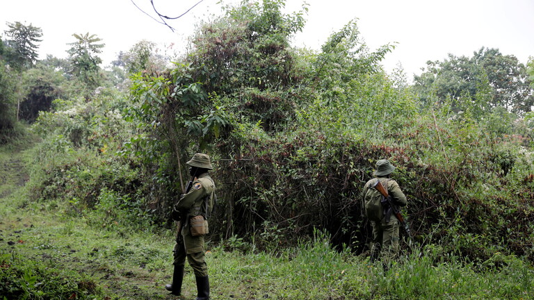 مقتل صينيين اثنين وخطف آخرين في شرق الكونغو