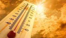“غرينبيس” تدق ناقوس الخطر حول موجات الحر الشديدة