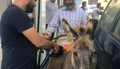 بالفيديو: حضر الى المحطة و”انتظر بالدور” ليزوّد حماره بالبنزين!