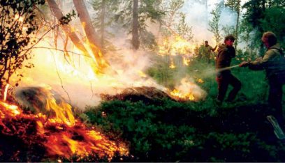 حرائق الغابات في سيبيريا تلتهم مئات الكيلومترات