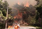 رئيس بلدية القبيات يناشد المعنيين: الحريق لا يزال يهدد المنازل
