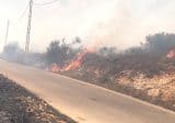 حريق كبير في خراج بينو – عكار