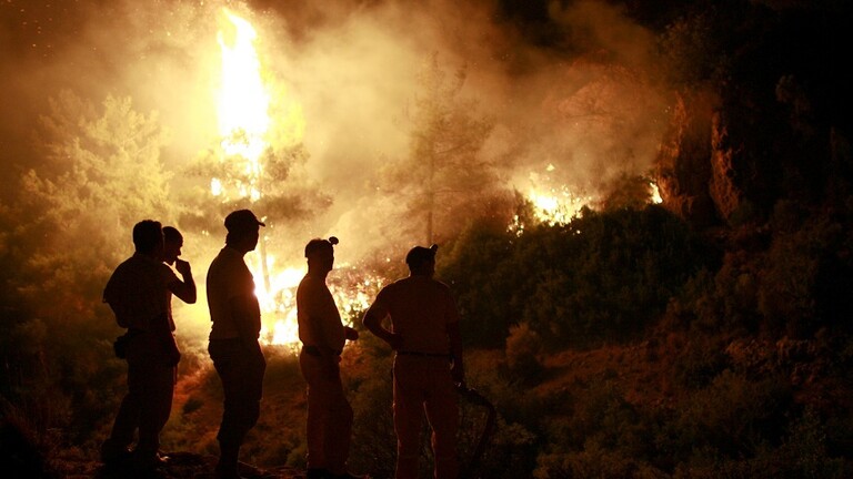 أردوغان: سنحشد كافة طاقات الدولة للسيطرة على حرائق الغابات وإهمادها