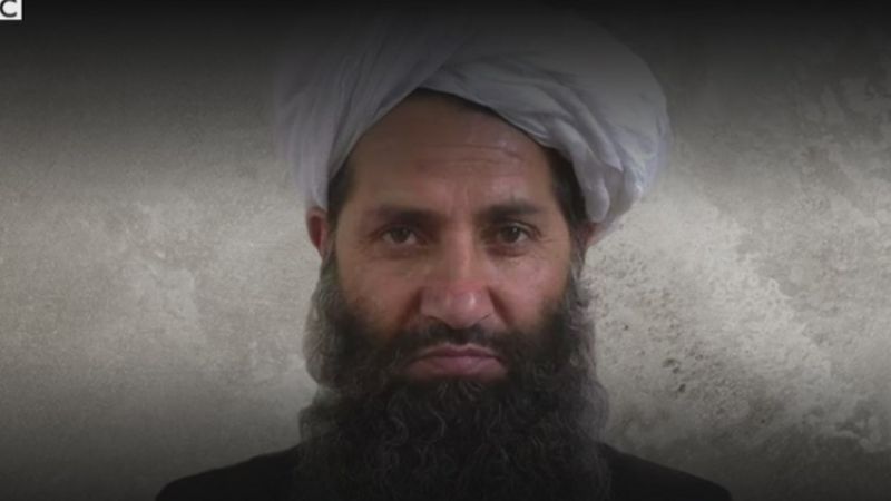 التلغراف: ما هو الدور المنتظر لزعيم حركة “طالبان”؟