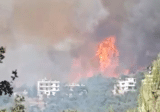 بالفيديو: حريق كبير في احراج القبيات عكار