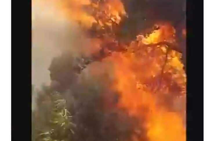 بالفيديو: تجدد اندلاع الحرائق في منطقتي الرويمة والبستان
