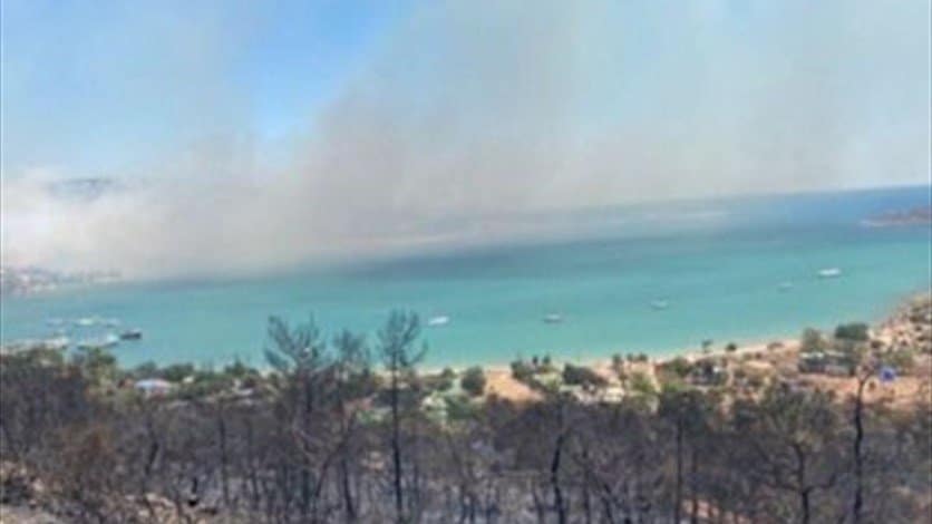 حرائق الغابات في تركيا مستعرة وسقوط 4 قتلى جراء النيران