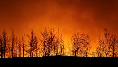 الرئاسة التركية: حرائق الغابات كارثة وطنية.. واليونان تعرض المساعدة