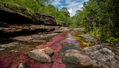 “نهر الألوان الخمسة”.. الطبيعة تكشف عن جمالها في كولومبيا