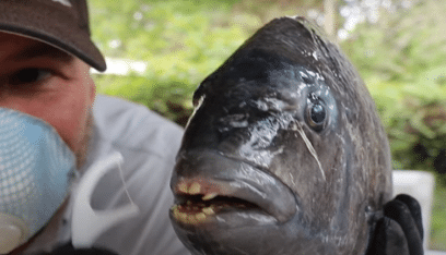 بالصور: أميركي يصطاد سمكة “بأسنان بشرية”!