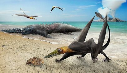 اكتشاف حفرية “تنين طائر” عمره 160 مليون عام