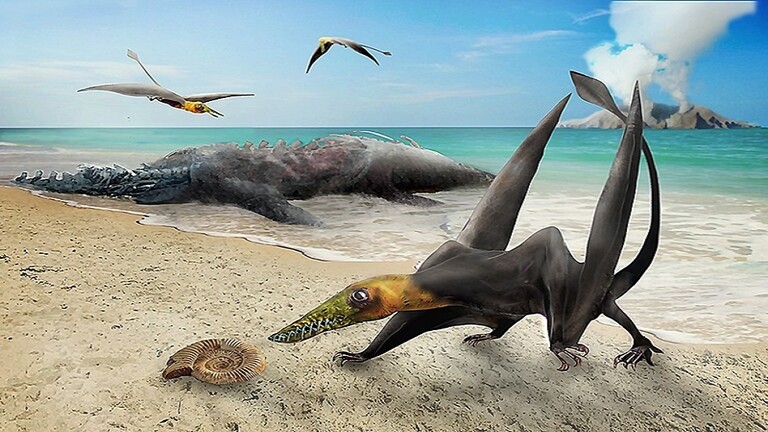 اكتشاف حفرية “تنين طائر” عمره 160 مليون عام