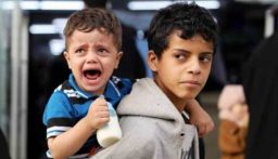 مدير المستشفيات الميدانية في غزة: سوء التغذية لدى الحوامل والمرضعات يفاقم سوء التغذية بين الأطفال